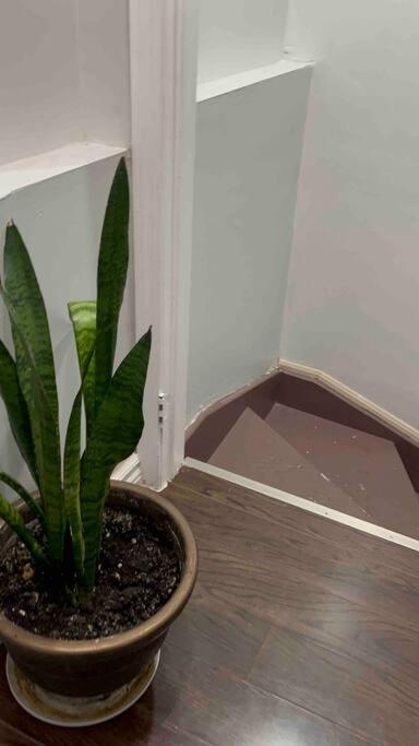 Bernie'S Basement Apartment Milton Exterior foto
