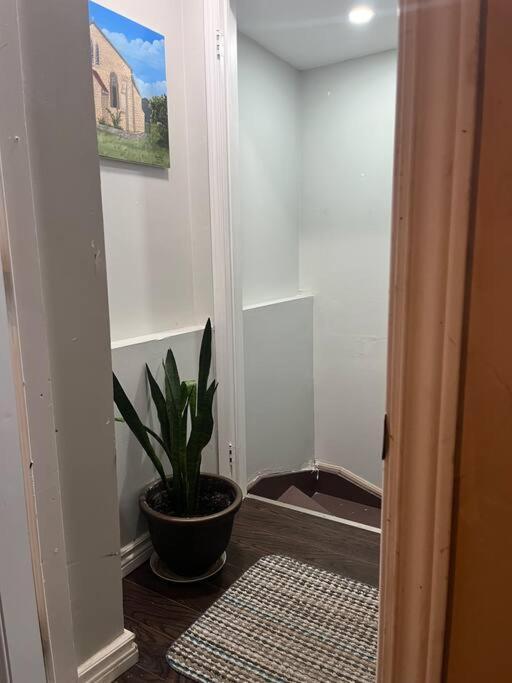 Bernie'S Basement Apartment Milton Exterior foto
